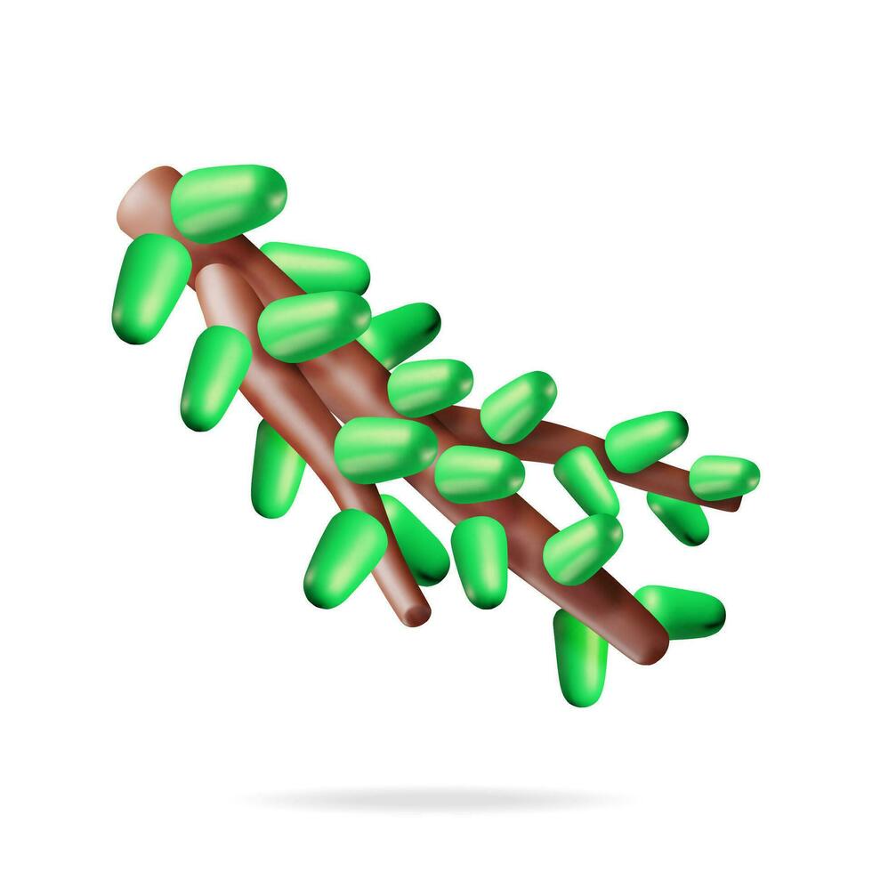 3d verde exuberante abeto ramo isolado. render abstrato sempre-verde árvore, abeto ramo. feliz Novo ano decoração. alegre Natal feriado. Novo ano e natal celebração. vetor ilustração