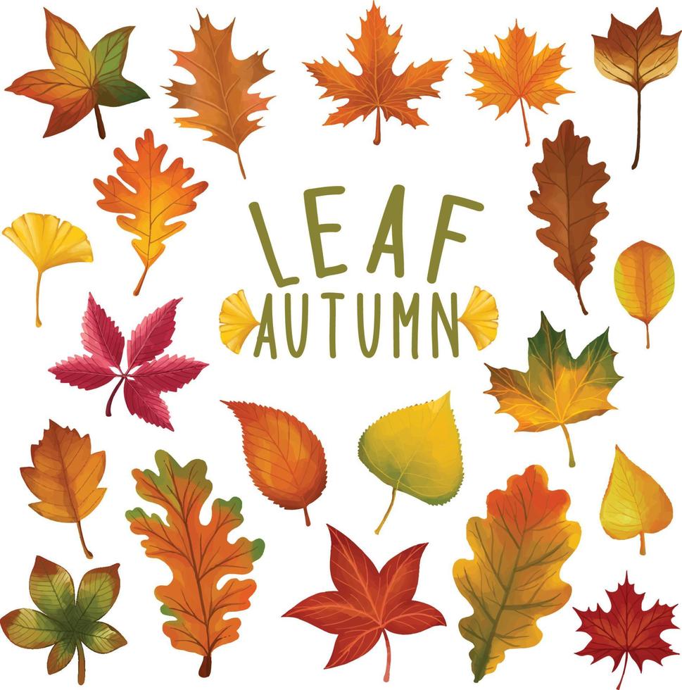 conjunto de folha pintada em aquarela, clipart de folhas de outono. mão desenhada isolada no fundo branco vetor
