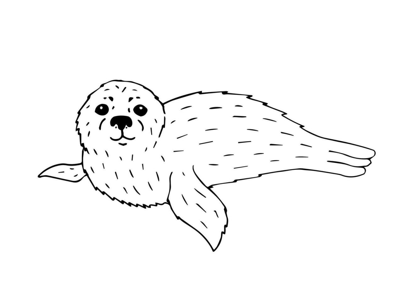 vetor mão desenhado rabisco esboço bebê foca