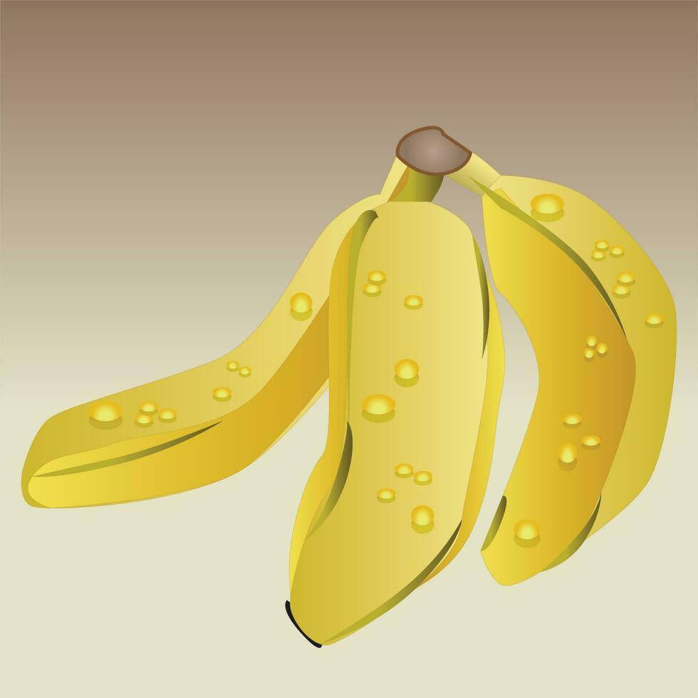 fresco maduro banana vetor