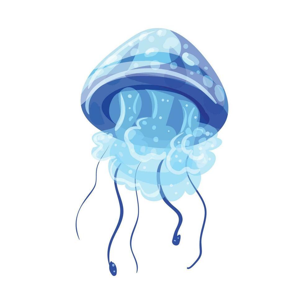 vetor colorida medusa ilustração em branco