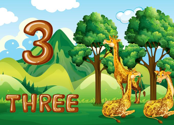 Três girafa na natureza vetor