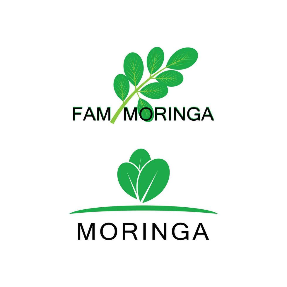 moringa logotipo vetor modelo símbolo natureza