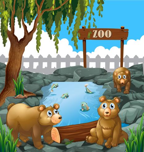 Ursos no zoológico vetor
