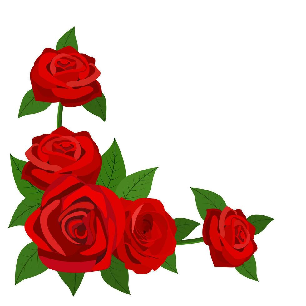 vermelho rosas com folhas isolado em uma branco fundo vetor