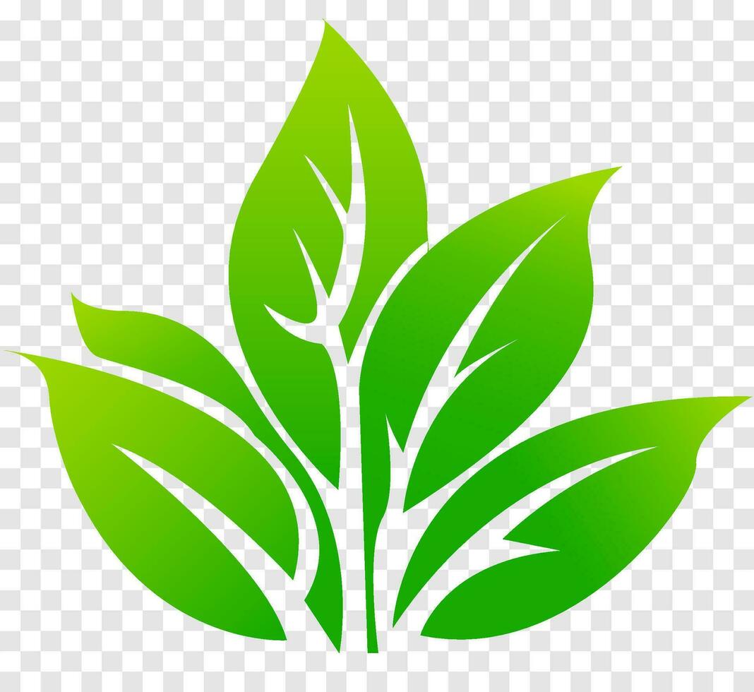 verde folhas em isolado fundo, para logotipos, desenhos, para a simbolismo do a verde planeta. logotipo modelo, saúde Comida ícone, orgânico vegetal jardim. ecológico crescente. vetor ilustração