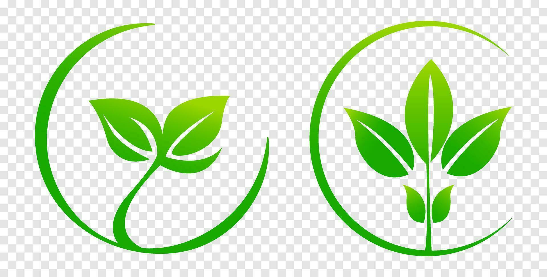 verde folhas em isolado fundo, para logotipos, desenhos, para a simbolismo do a verde planeta. logotipo modelo, saúde Comida ícone, orgânico vegetal jardim. ecológico crescente. vetor ilustração