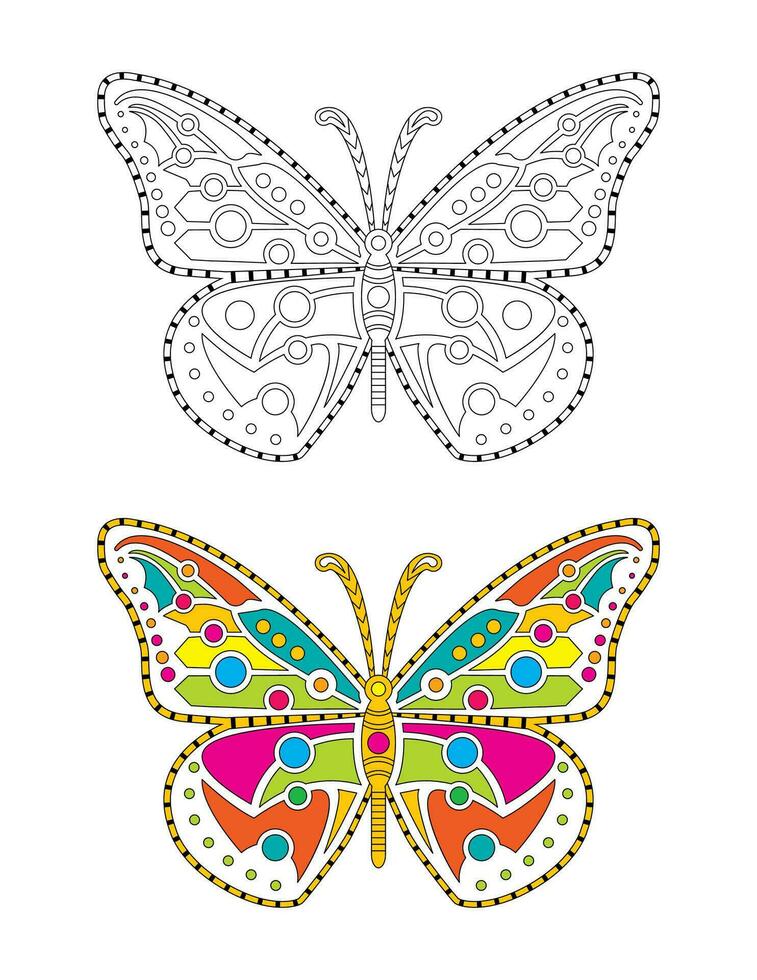 mandala colorida borboleta vetor