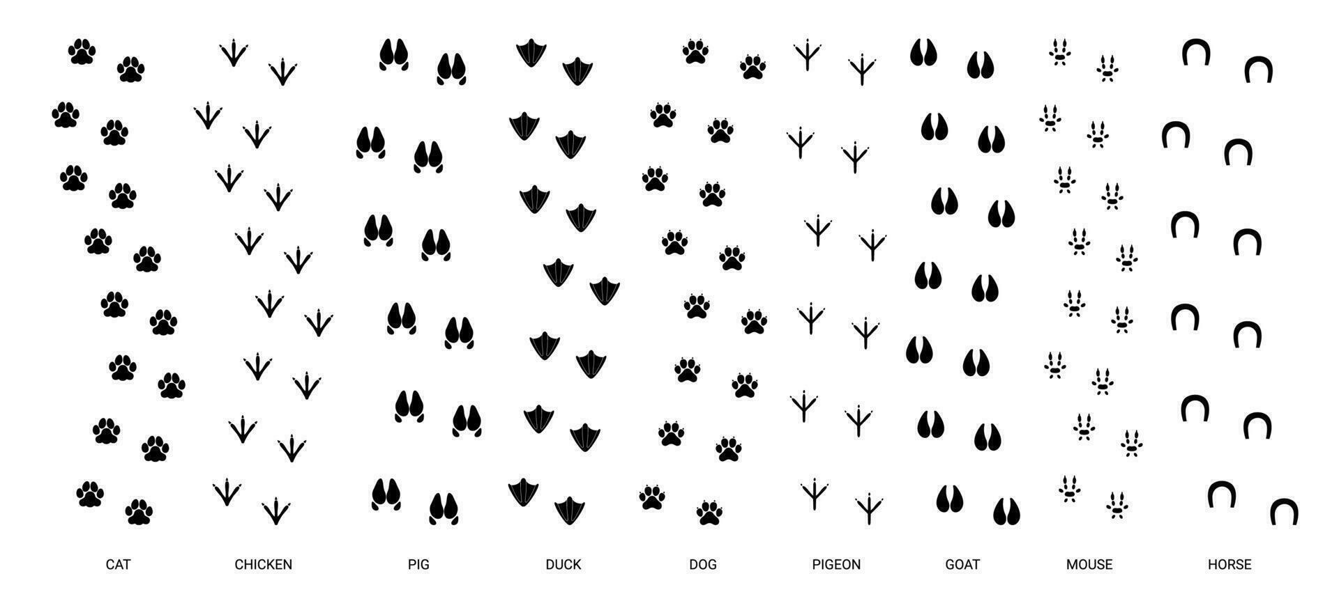 degrau faixas animal trilhas. animais pata pegada, animal vestígio passo, caminhando gato etapa, pássaro trilha pés, cachorro imprimir, silhueta pegadas vetor conjunto