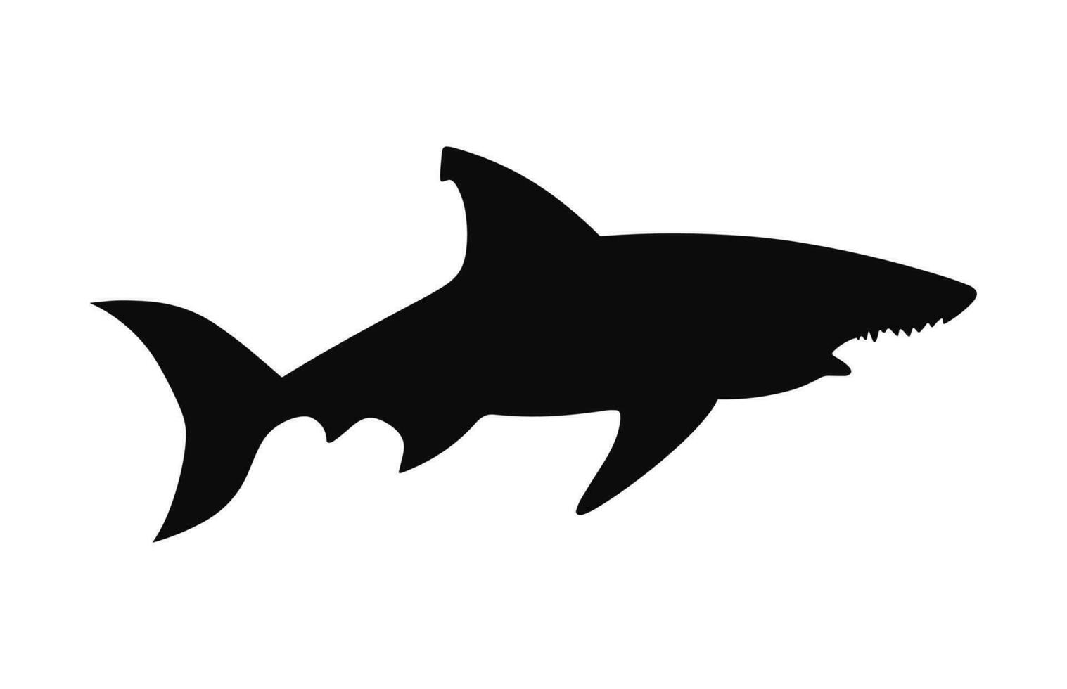 uma cabeça de martelo Tubarão silhueta vetor livre