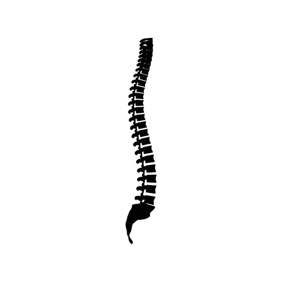 coluna vertebral ícone vetor
