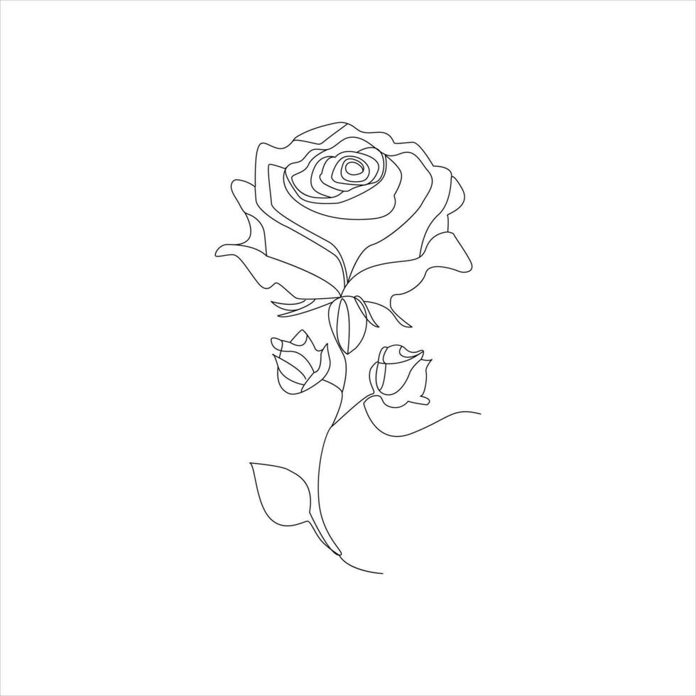 rosa 1 contínuo linha desenho. floral flor natural Projeto. gráfico, esboço desenho. rosa vetor