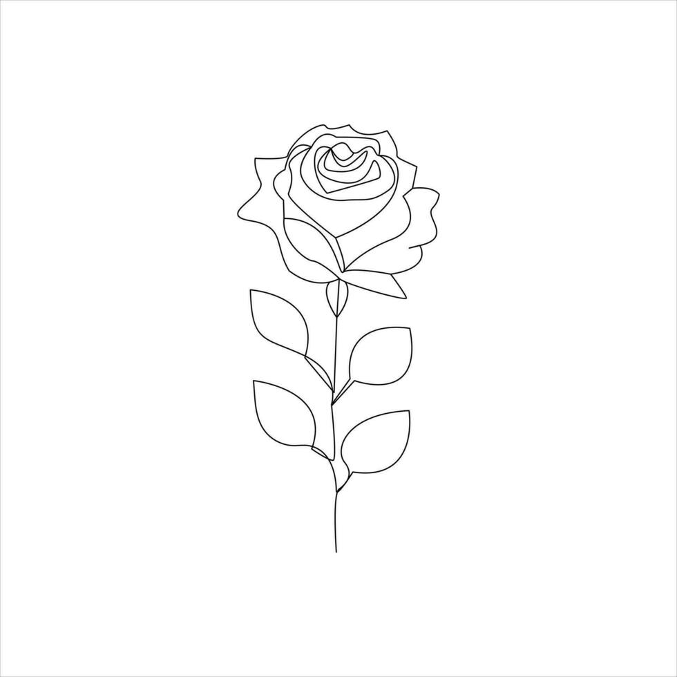 rosa 1 contínuo linha desenho. floral flor natural Projeto. gráfico, esboço desenho. rosa vetor