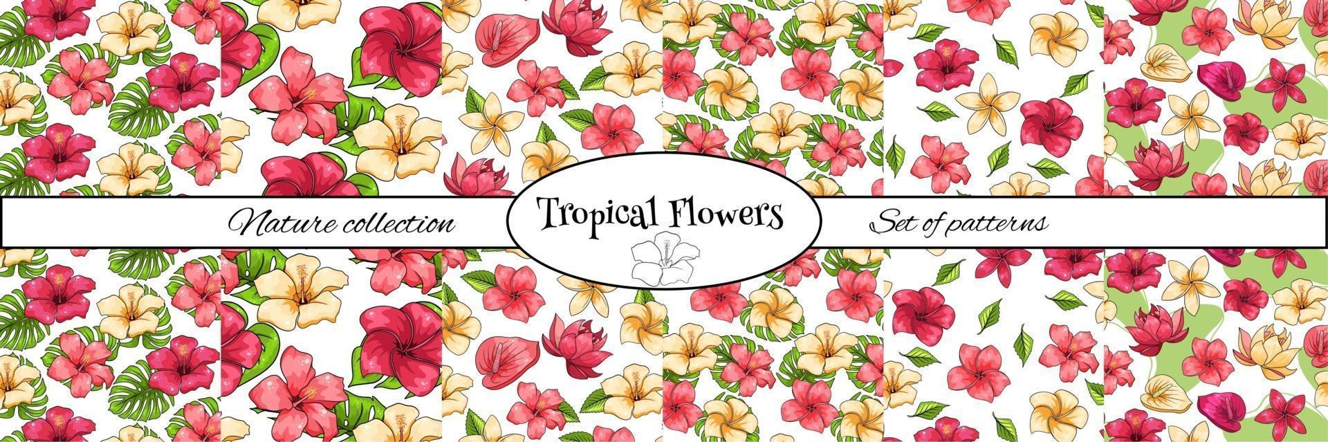 padrão tropical com flores de plantas exóticas e folhas em estilo cartoon vetor