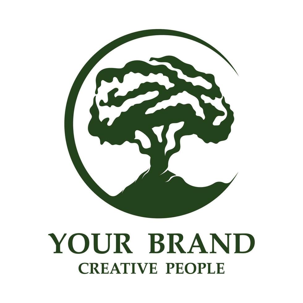 bonsai logotipo modelo vetor ilustração Projeto