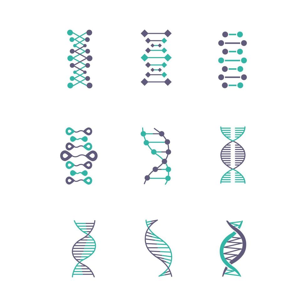 Conjunto de ícones de dupla hélice violeta e turquesa de DNA vetor