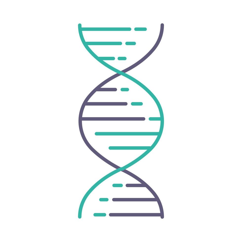 ícone de cor violeta e turquesa de dupla hélice de DNA vetor