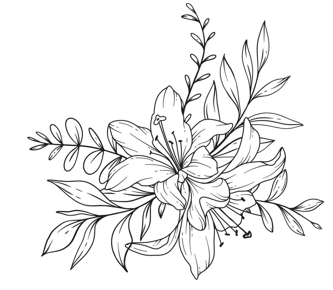 lírio linha desenho. Preto e branco floral buquês. flor coloração página. floral linha arte. bem linha lírios ilustração. mão desenhado flores botânico coloração. Casamento convite flores vetor