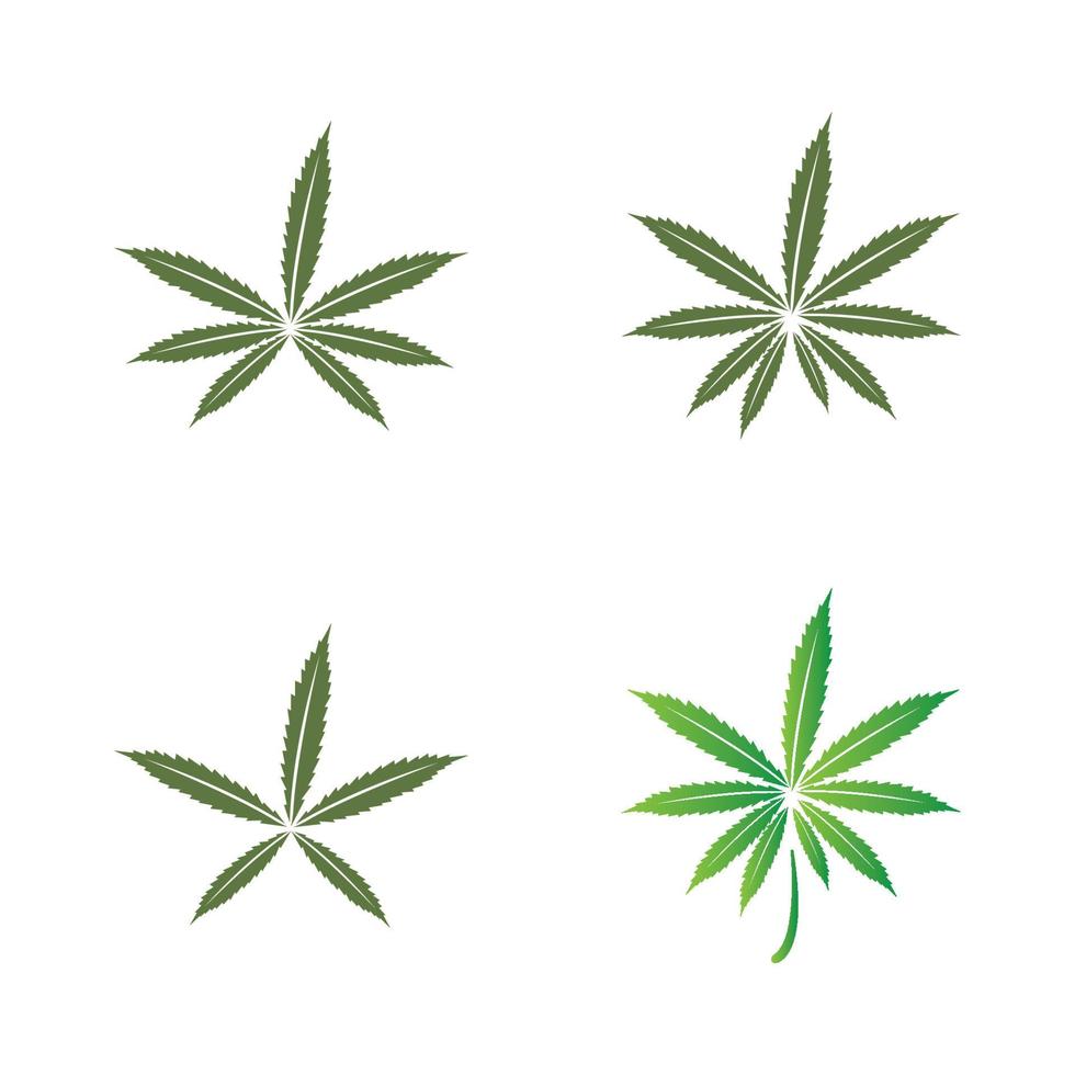 logotipo da folha de cannabis vetor