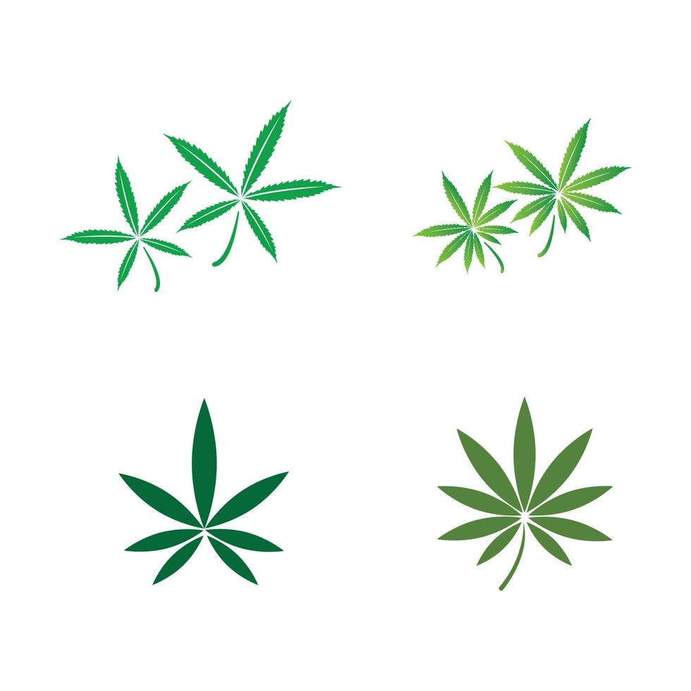 logotipo da folha de cannabis vetor