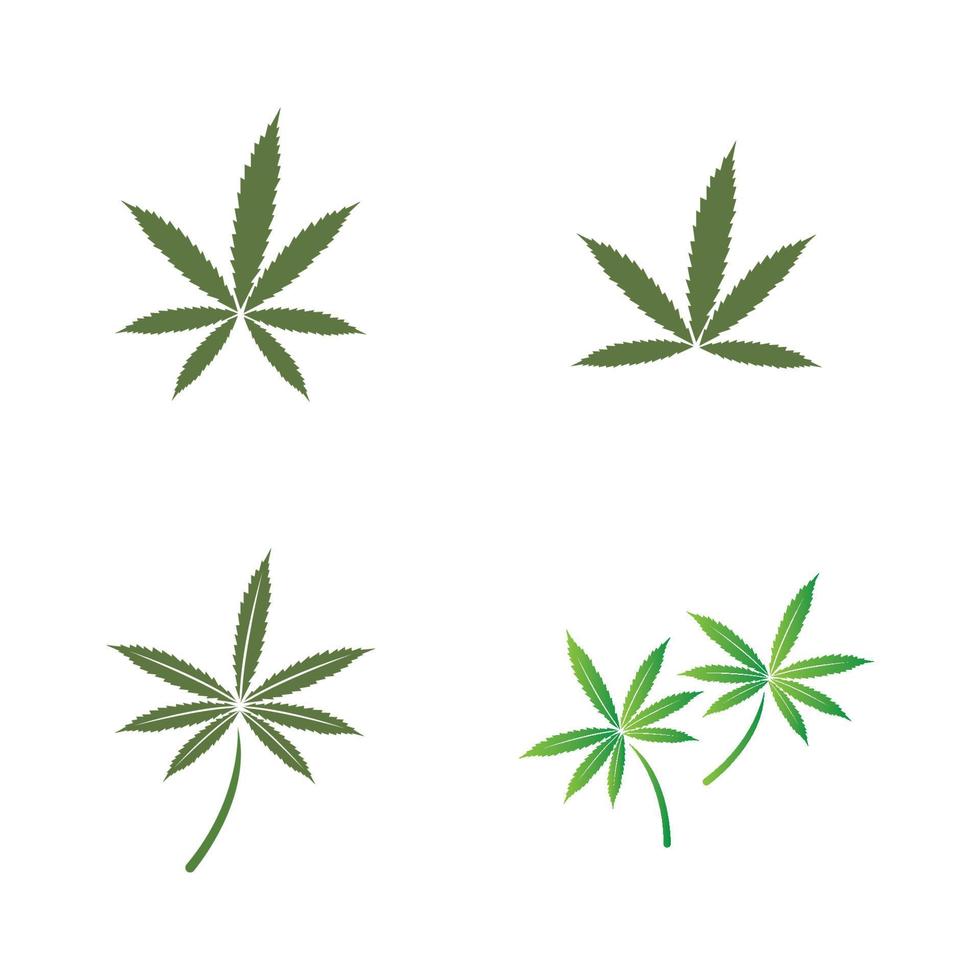 logotipo da folha de cannabis vetor