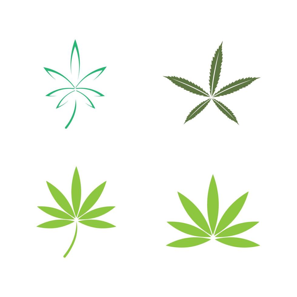 logotipo da folha de cannabis vetor