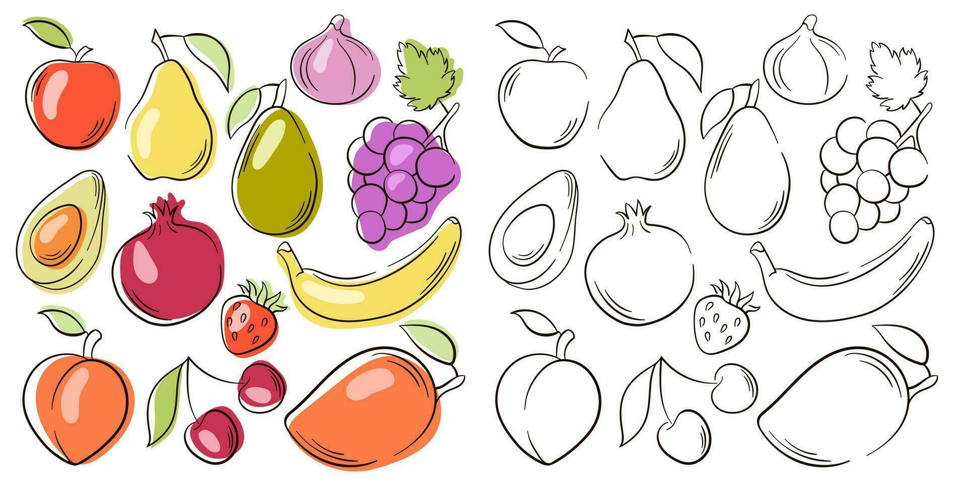 fruta e bagas coleção dentro linha arte estilo. ilustração do colori e monocromático frutas para Projeto Fazenda produtos, cardápio, restaurantes, vegetariano fazer compras. vetor ilustração isolado em uma branco.