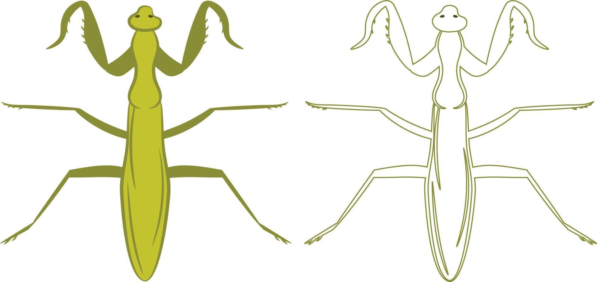 ilustração do mantis empusa mantodea preenchimento e contorno vetor