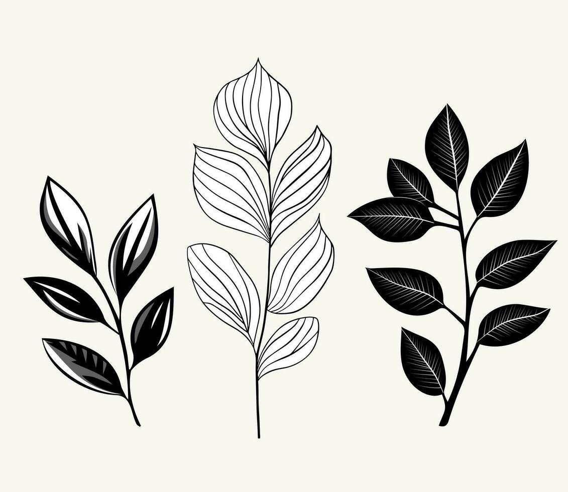 monocromático plantas. folhas, galhos, floral elementos definir. esboço botânico ilustração. mão desenhado isolado plantas. vetor