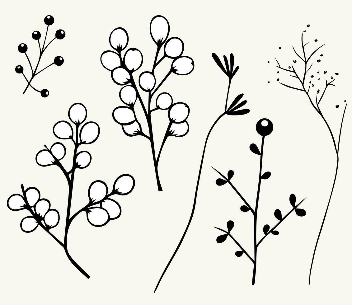 monocromático plantas. folhas, galhos, floral elementos definir. esboço botânico ilustração. mão desenhado isolado plantas. vetor