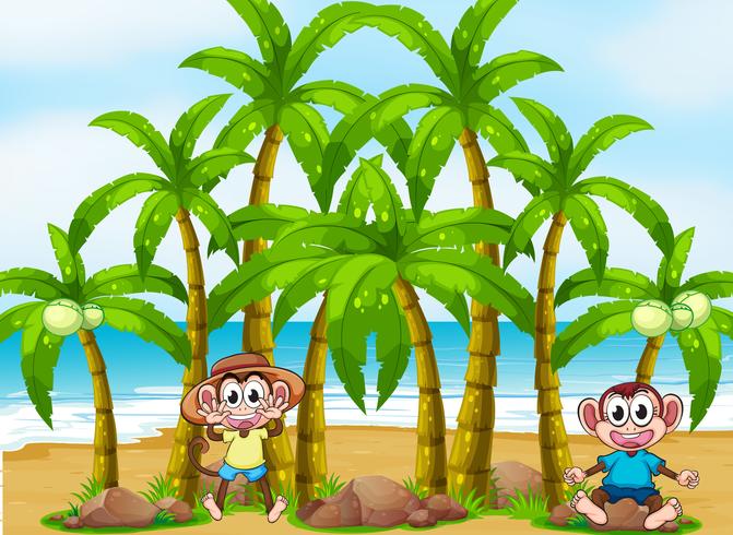 Uma praia com coqueiros e macacos brincalhões vetor