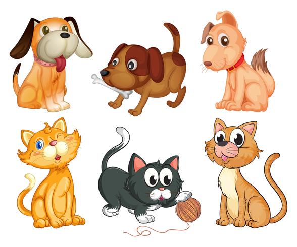 Ilustração Vetorial De Gato Em Um Chapéu De Brinquedo Animais Animais De  Estimação Vetor PNG , Brinquedo, Animais, Animais De Estimação Imagem PNG e  Vetor Para Download Gratuito