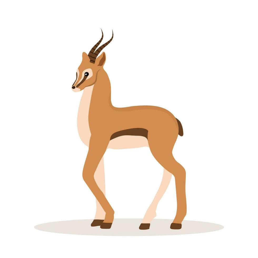 elegante africano antílope. gazela com chifres em branco fundo. mamífero animal. vetor ilustração dentro plano desenho animado estilo