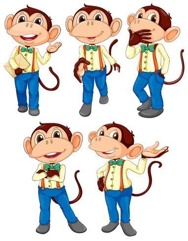 Cinco macacos vestindo jeans vetor