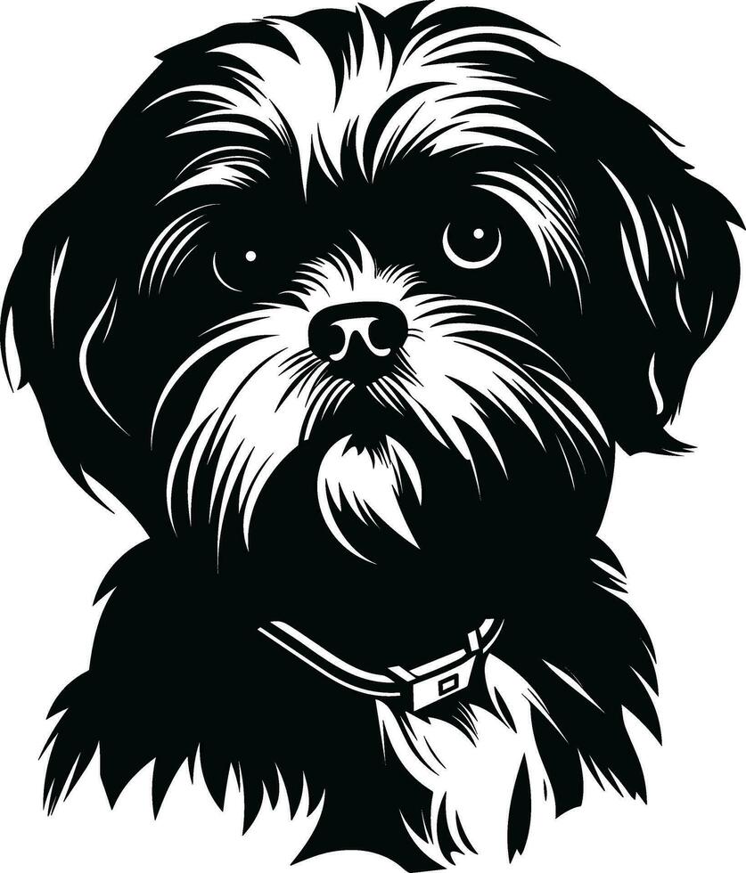 silhueta personagem shih tzu cachorro, fofa logotipo. vetor