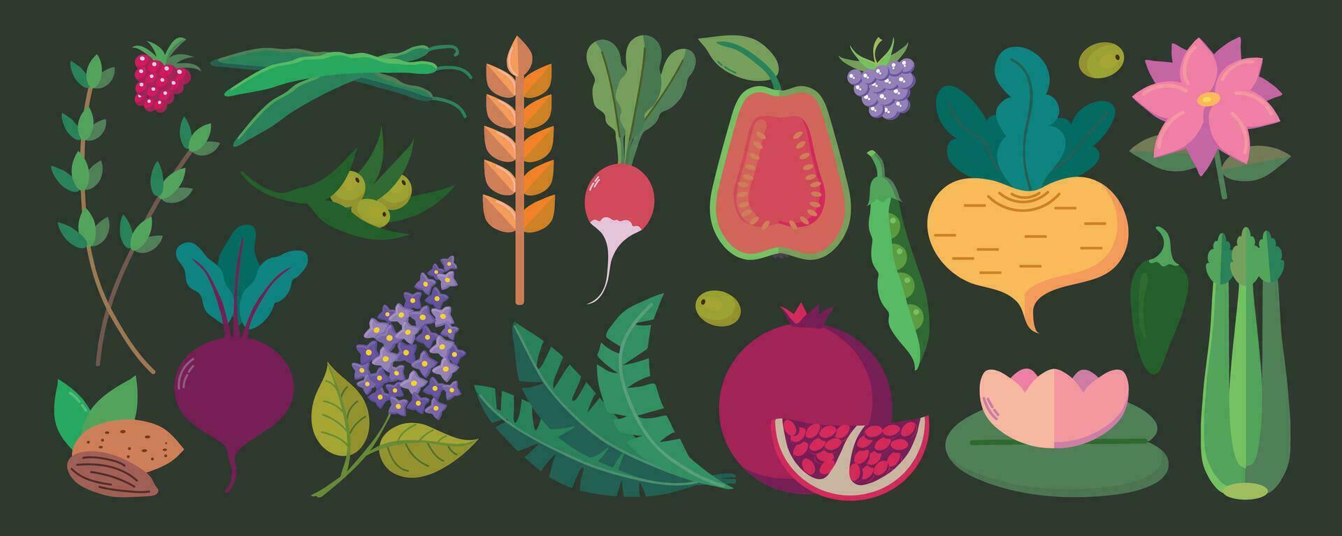 vetor conjunto do ervas, nozes, especiarias, frutas e bagas, vegetais, flores ícones cliparts isolado ilustrações