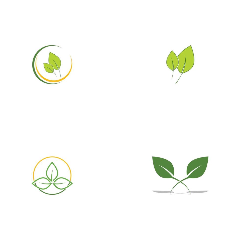 logotipos da ecologia de folhas verdes vetor