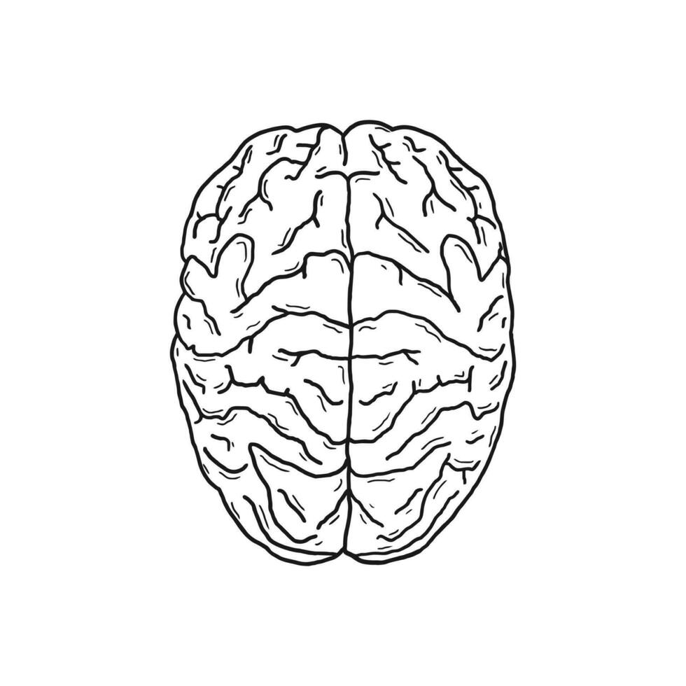 humano cérebro vetor ilustração Projeto