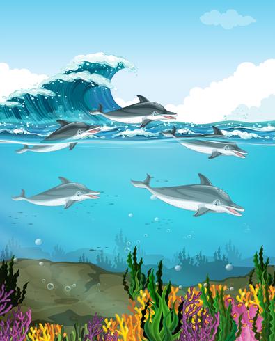 Golfinhos nadando no fundo do mar vetor