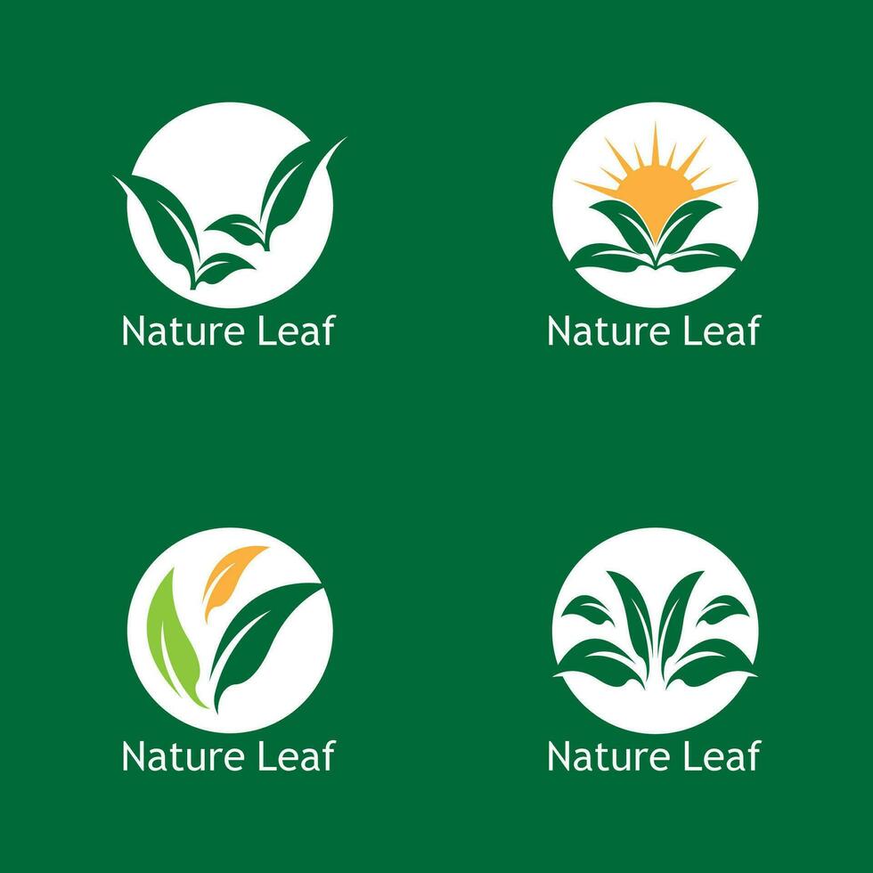 verde folha natureza plantar conceptual símbolo vetor ilustração