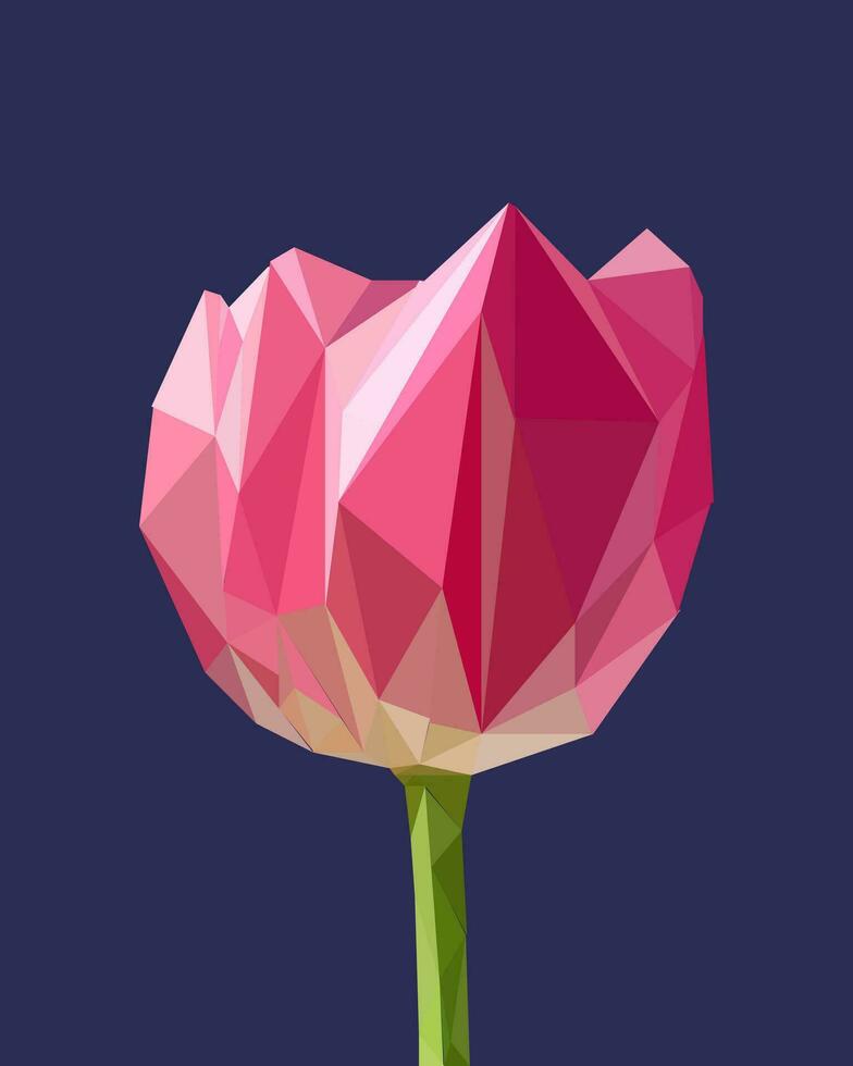 tulipa flor dentro baixo poli estilo em Sombrio azul fundo. vetor