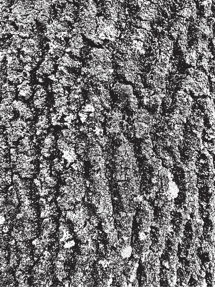 textura de casca de árvore do grunge. textura de sobreposição angustiada. textura de vetor preto e branco
