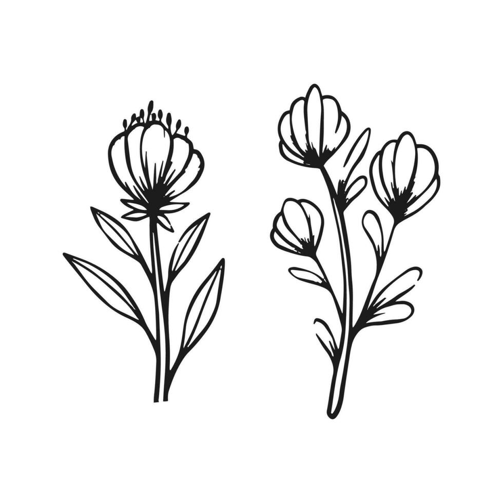 vetor mão desenhado plano Projeto simples flor esboço em branco