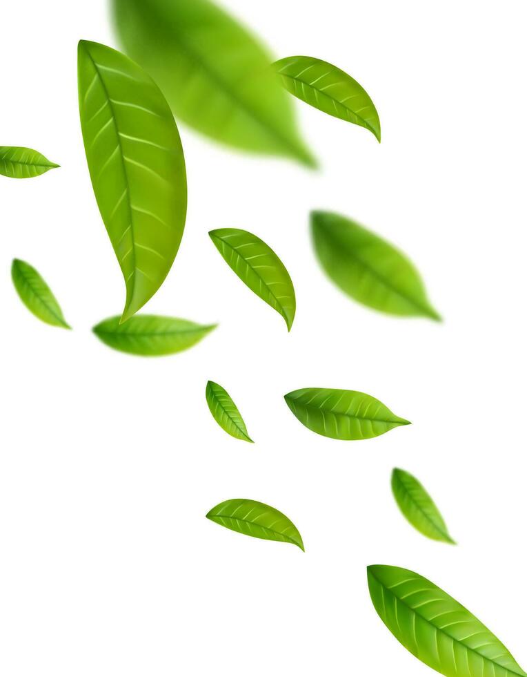realista verde chá folhas dentro movimento vetor
