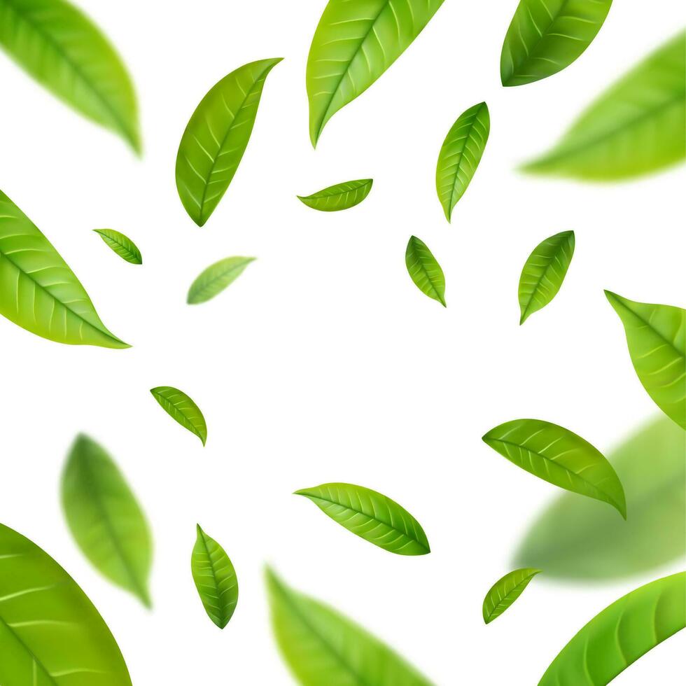 realista verde chá folhas dentro movimento vetor