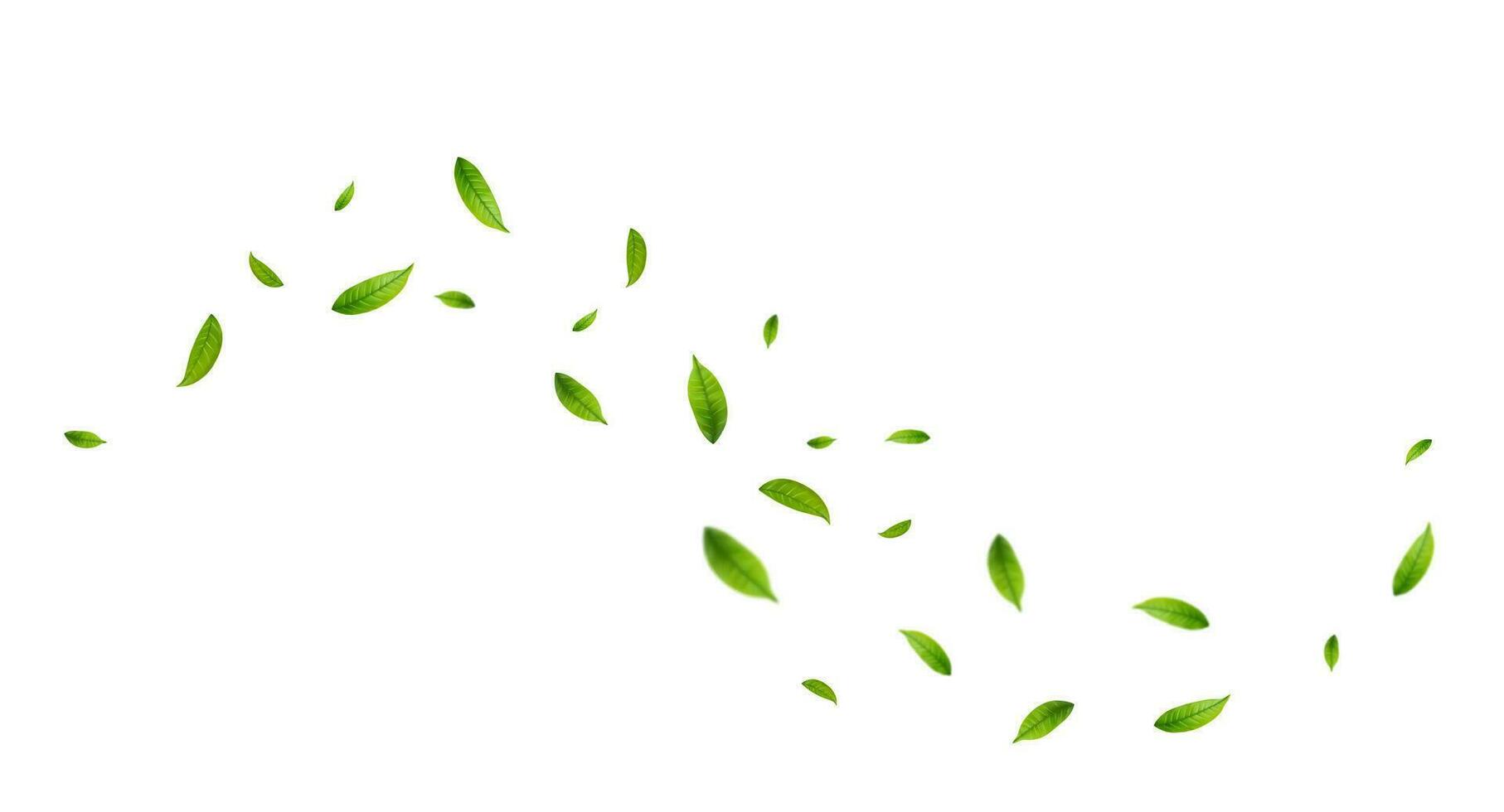 verde folhas mosca com uma rajada do vento. vetor