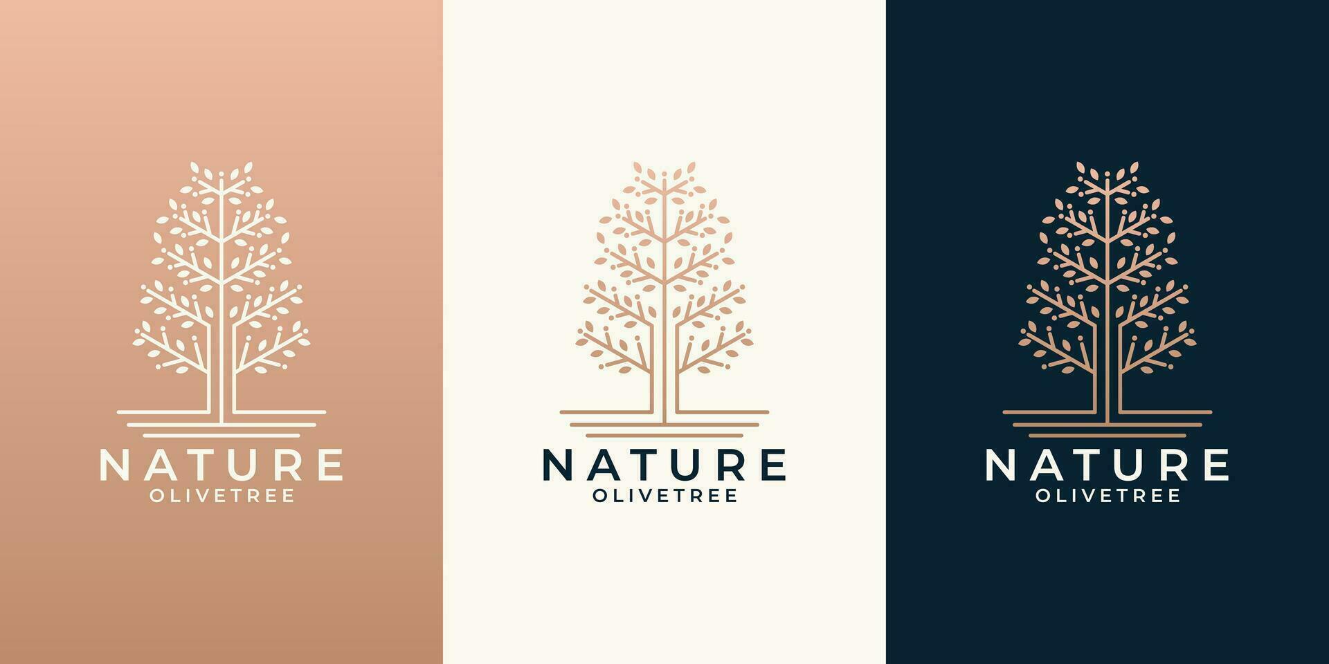 beleza natureza Oliva árvore logotipo Projeto conjunto para seu o negócio salão, Cosmético, spa, saúde vetor