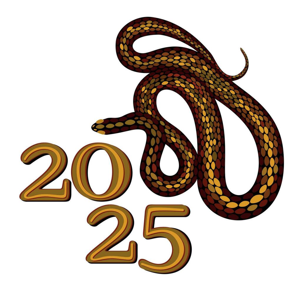 2025. chinês ano do serpente. brilhante isolado ilustração vetor