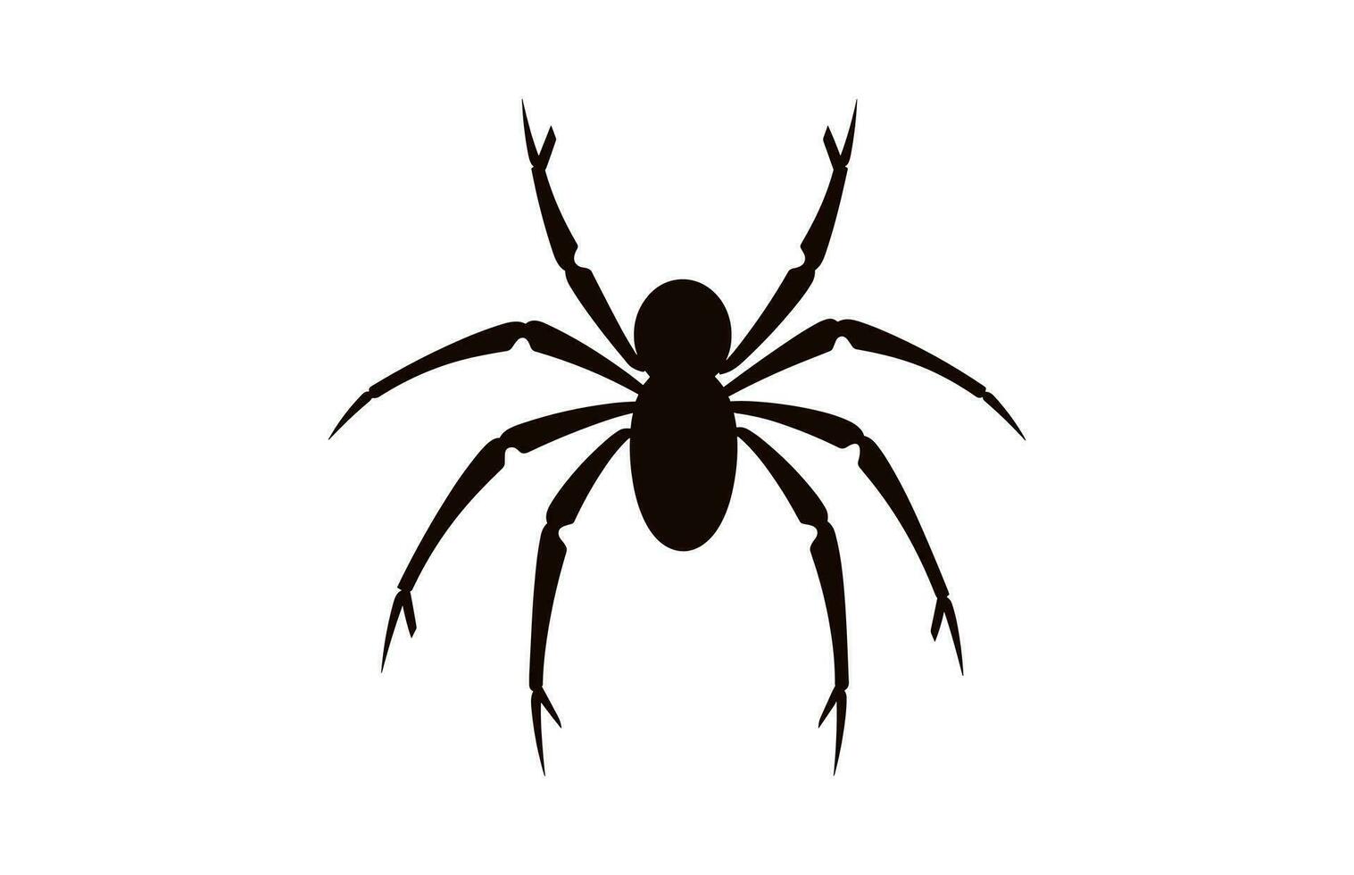 uma aranha vetor Preto silhueta isolado em uma branco fundo