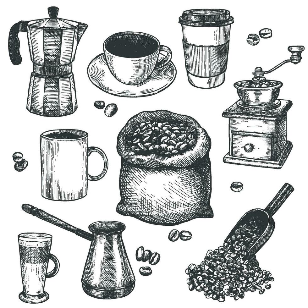 esboço café. café moinho, chaleira, saco com assado feijões, cezve. café com leite e espresso copo mão desenhado gravado vintage vetor conjunto